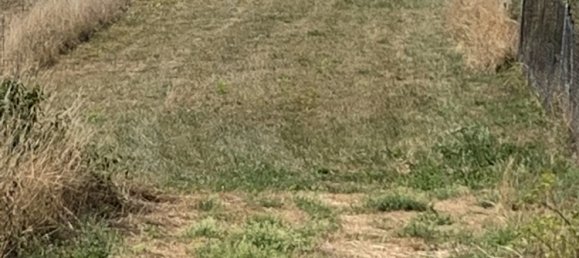  Land in Grundviller, France No. 351258 2