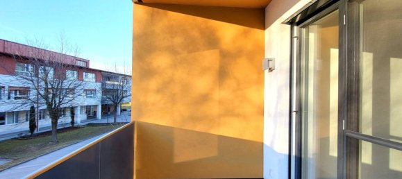 2 rooms Apartment in Wolfern, Austria No. 197475 7