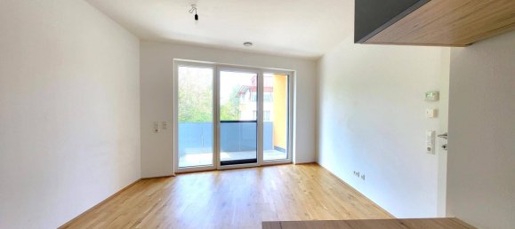 2 rooms Apartment in Wolfern, Austria No. 197475 2