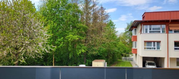 2 rooms Apartment in Wolfern, Austria No. 197475 5