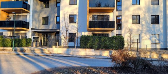 2 rooms Apartment in Wolfern, Austria No. 197475 9