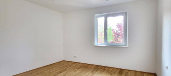 2 rooms Apartment in Wolfern, Austria No. 197475 4