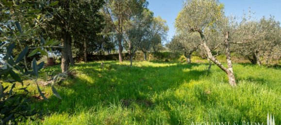 2 bedrooms House in Sinalunga, Italy No. 55808 35