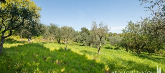 2 bedrooms House in Sinalunga, Italy No. 55808 36