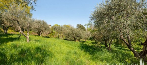 2 bedrooms House in Sinalunga, Italy No. 55808 34