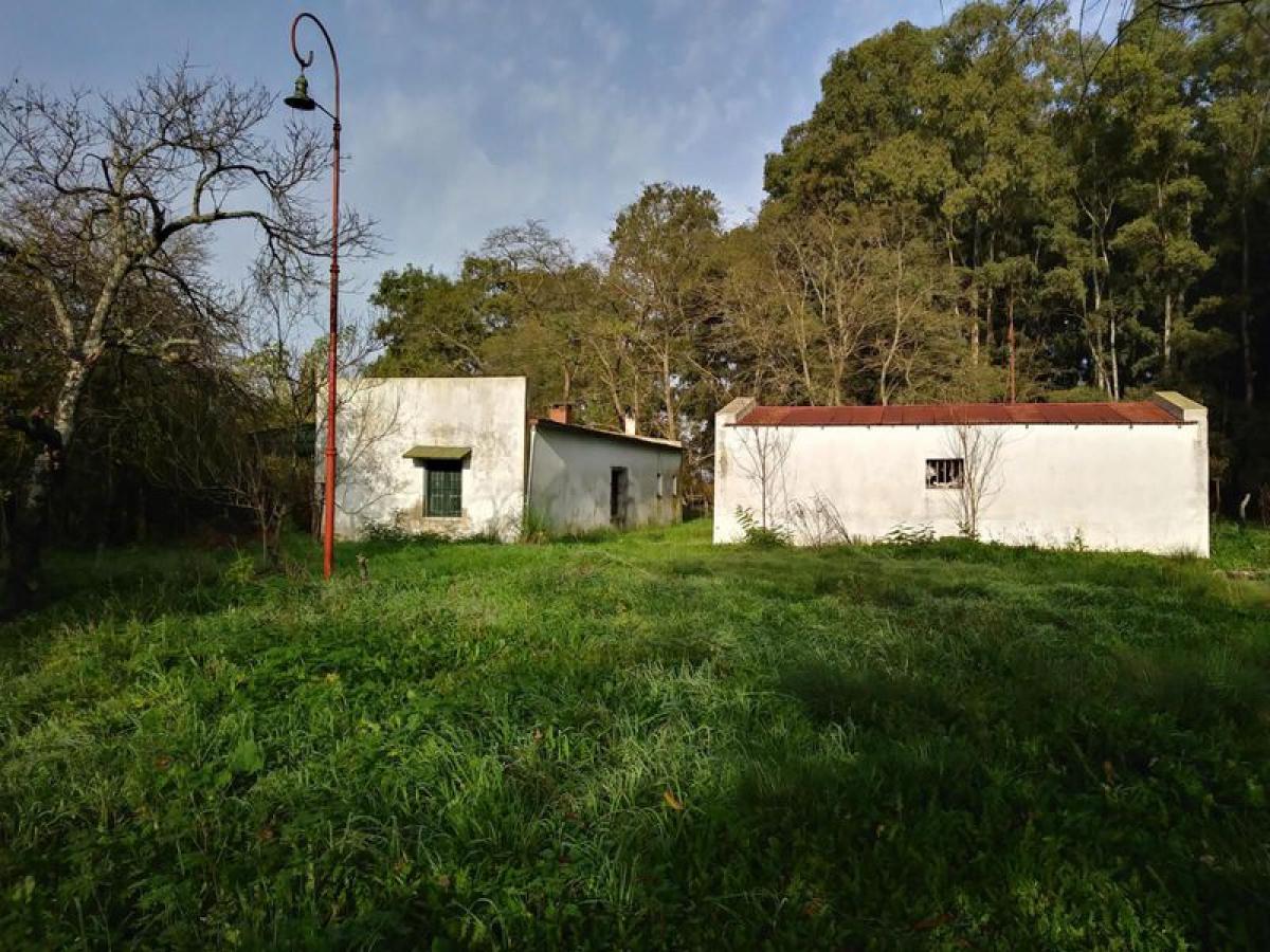  Farm in Buenos Aires, Argentina No. 119662