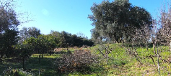 4262m² Hotel in Corfu, Greece No. 6426 7