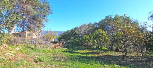 4262m² Hotel in Corfu, Greece No. 6426 4