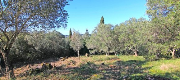 4262m² Hotel in Corfu, Greece No. 6426 3