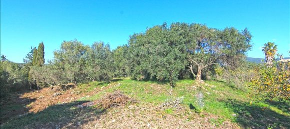 4262m² Hotel in Corfu, Greece No. 6426 5