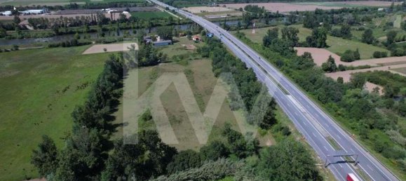 39000m² Land in Coimbra, Portugal No. 91340 4