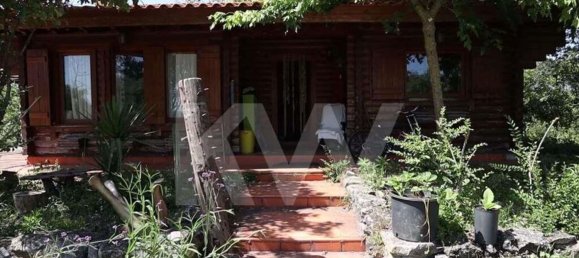 39000m² Land in Coimbra, Portugal No. 91340 46