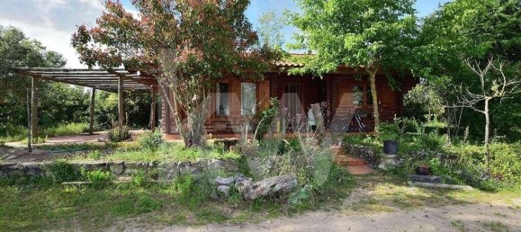 39000m² Land in Coimbra, Portugal No. 91340 18