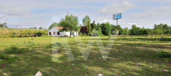 39000m² Land in Coimbra, Portugal No. 91340 9