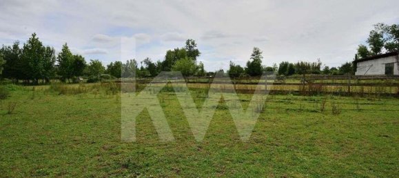 39000m² Land in Coimbra, Portugal No. 91340 14