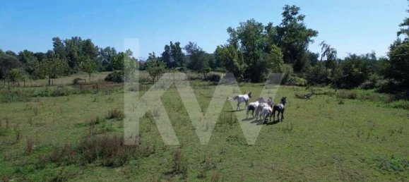 39000m² Land in Coimbra, Portugal No. 91340 23