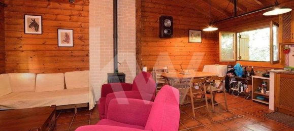 39000m² Land in Coimbra, Portugal No. 91340 49