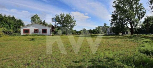 39000m² Land in Coimbra, Portugal No. 91340 13