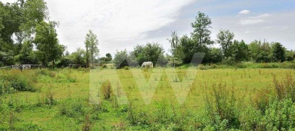 39000m² Land in Coimbra, Portugal No. 91340 24