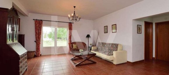 39000m² Land in Coimbra, Portugal No. 91340 31