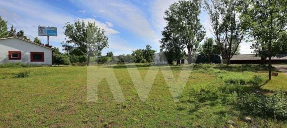 39000m² Land in Coimbra, Portugal No. 91340 10