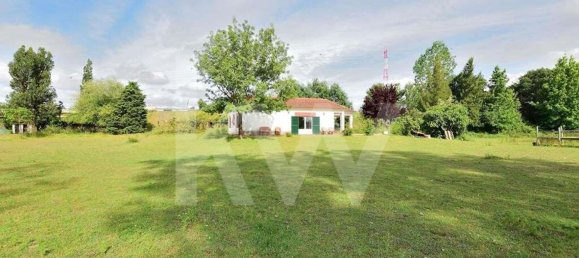 39000m² Land in Coimbra, Portugal No. 91340 11