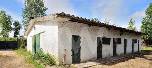 39000m² Land in Coimbra, Portugal No. 91340 19