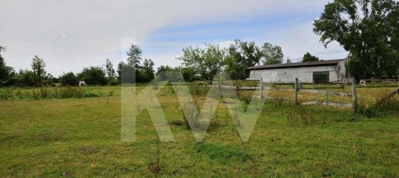 39000m² Land in Coimbra, Portugal No. 91340 12