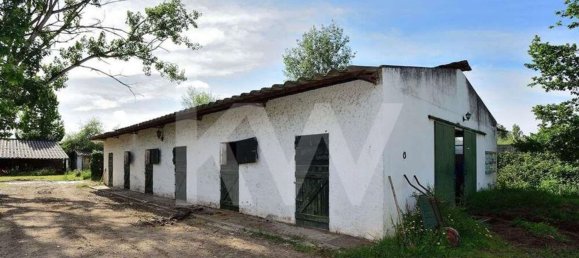 39000m² Land in Coimbra, Portugal No. 91340 20