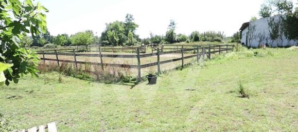 39000m² Land in Coimbra, Portugal No. 91340 21