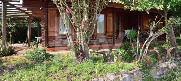 39000m² Land in Coimbra, Portugal No. 91340 43