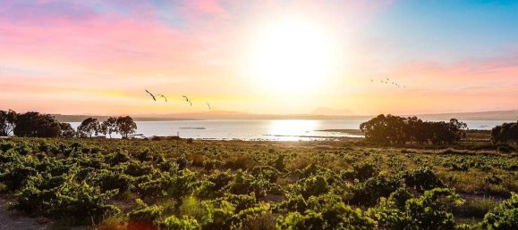 Casa de 2 dormitorios en Torrevieja, Spain No. 189504 42