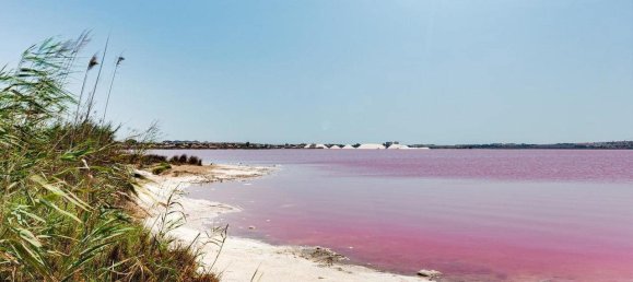 Casa de 2 dormitorios en Torrevieja, Spain No. 189504 32
