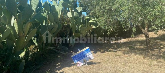 4 bedrooms Villa in Sessa Aurunca, Italy No. 293818 17