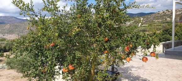 2 غرف نوم فيلا في Foinikaria, Cyprus رقم 20476 16