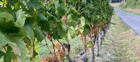 5-salle Villa à Tassarolo, Italy No. 143765 17