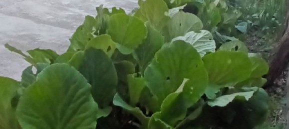 Studio in Ponzone, Italy, Nr. 255885 17