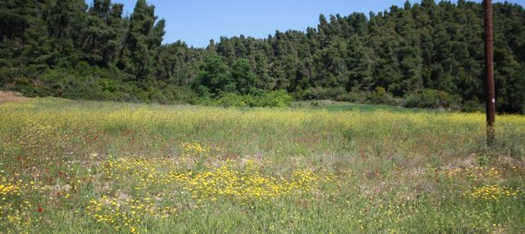  فندق في Chalkidiki, Greece 18000متر مربع رقم 6343 4