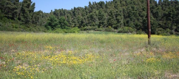 18000m² Hotel in Chalkidiki, Greece No. 6343 2