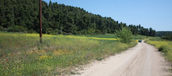  فندق في Chalkidiki, Greece 18000متر مربع رقم 6343 3