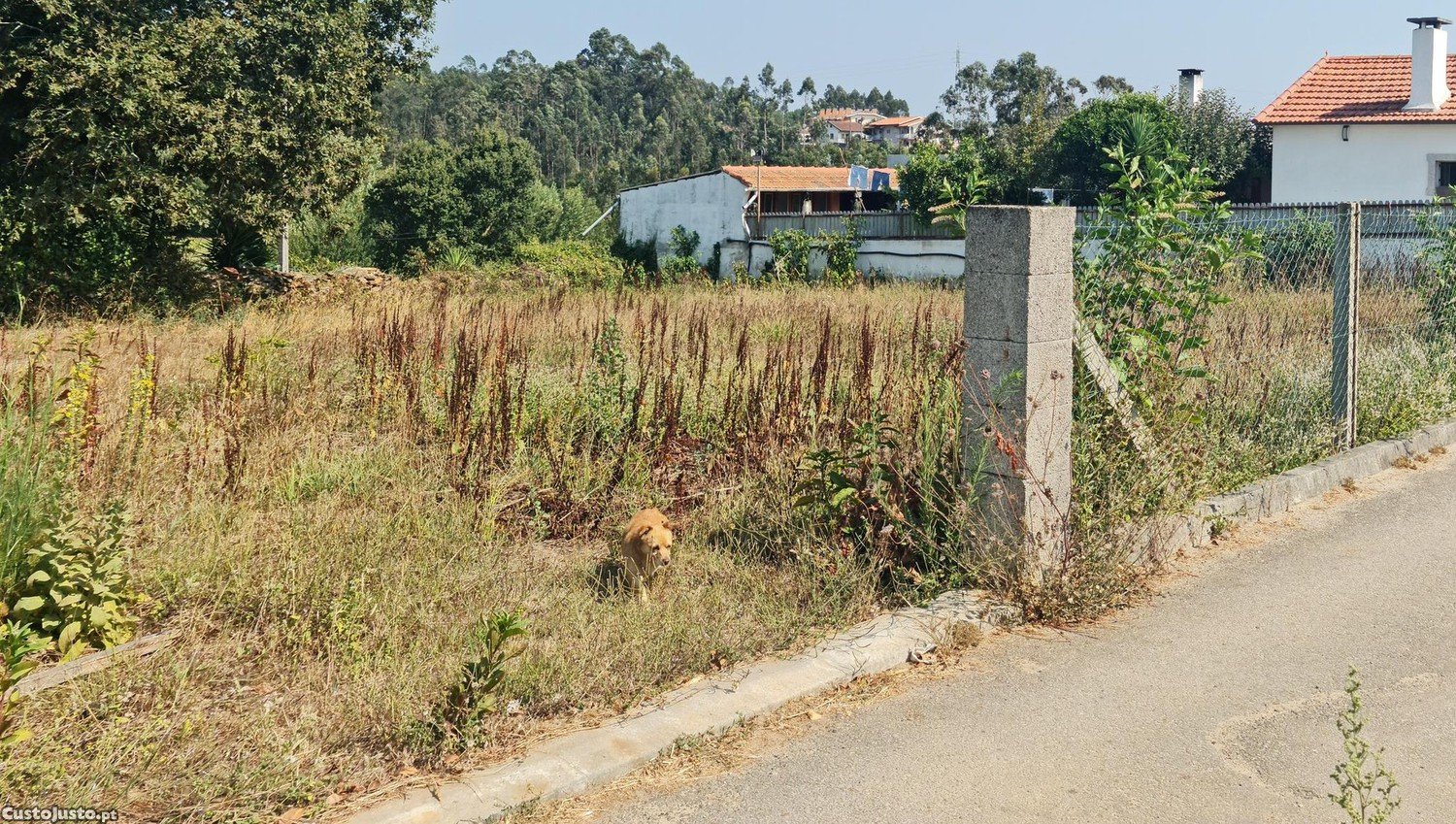 Terreno em Válega, Portugal 615 m² N.º 276543
