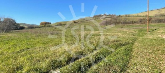 11900m² Land in Castel San Pietro Terme, Italy No. 283447 17