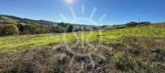 11900m² Land in Castel San Pietro Terme, Italy No. 283447 13