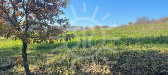 11900m² Land in Castel San Pietro Terme, Italy No. 283447 25