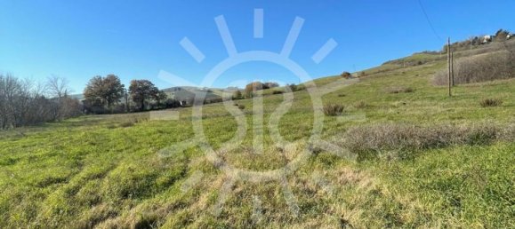 11900m² Land in Castel San Pietro Terme, Italy No. 283447 23