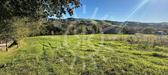 11900m² Land in Castel San Pietro Terme, Italy No. 283447 2