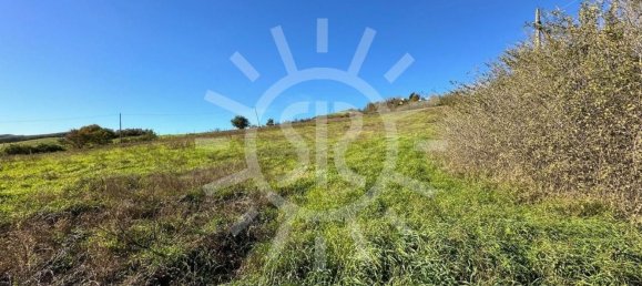 11900m² Land in Castel San Pietro Terme, Italy No. 283447 12