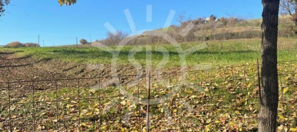 11900m² Land in Castel San Pietro Terme, Italy No. 283447 29