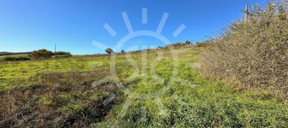 11900m² Land in Castel San Pietro Terme, Italy No. 283447 11