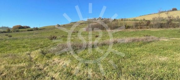 11900m² Land in Castel San Pietro Terme, Italy No. 283447 26
